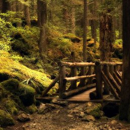 ���� �������, ������, 47 ��� - ��������� 18 ����� 2012