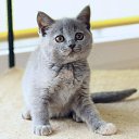 ���� ������ ~������~, ��������, 37 ��� - ��������� 24 ������� 2011 � ������ ��������