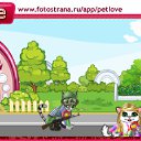  , , 50  -  11  2010   PetLove