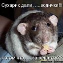 ���� ��������, �������� - ��������� 11 ����� 2012 � ������ �������� ��������