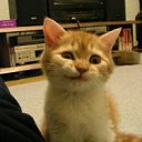 ���� ����, �������, 45 ��� - ��������� 6 ������� 2011 � ������ �������