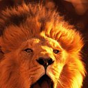 ���� ���������, ������, 85 ��� - ��������� 28 ������ 2012 � ������ �������