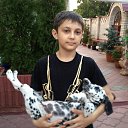 ���� ������, �������, 24 ���� - ��������� 17 ������ 2012