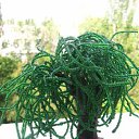 150 ��. �� ������� ��������������� �� �������