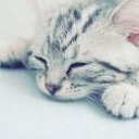 ���� �������, �����-���������, 24 ���� - ��������� 7 ��� 2012