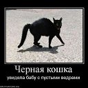 ���� Red, ������� - ��������� 16 ������ 2011 � ������ ���������������� :)�