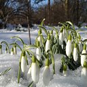 ���� Lei �� �������, ������ - ��������� 16 ����� 2012 � ������ ���� ����������