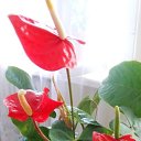 ������ � �����, � �����! �� ������� ����λ