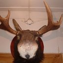 ���� �����, ������ - ��������� 10 ������� 2011 � ������ �������