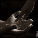 ���� �������~������~, �����-���������, 44 ���� - ��������� 29 ������ 2010