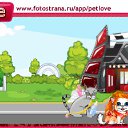 ���� ����, �����������, 23 ���� - ��������� 12 ������ 2010 � ������ �PetLove�
