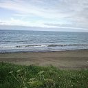  , --, 55  -  16  2010   