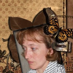 ���� Kc�, ������, 52 ���� - ��������� 11 ���� 2013