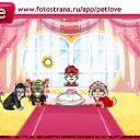  •°• ~~•°•, , 26  -  11  2010   PetLove