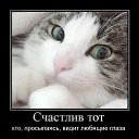 ���� ����, ������ - ��������� 15 ������ 2011 � ������ ���������