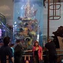 ���� ����, �������, 57 ��� - ��������� 27 ��� 2012 � ������ �Walk into the Sea life centre�