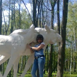 , 37 , -