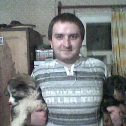 ���� �������, �����, 43 ���� - ��������� 12 ���� 2012