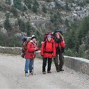   .
  -     !!!      2011 - 2