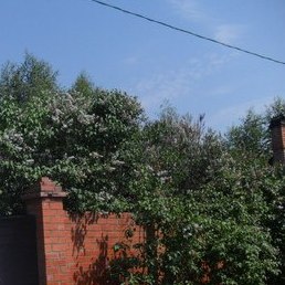 Mahidilhan, ������, 52 ����