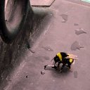 ���� �����, ������ - ��������� 26 ������� 2009 � ������ ���������