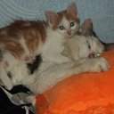 ���� &bull;&deg; ������ &deg;&bull;, ������ - ��������� 8 ������ 2013 � ������ ���� ����������