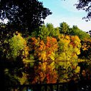 ���� �������, ������, 54 ���� - ��������� 19 ������� 2011 � ������ ���� ����������