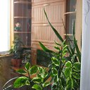   , , 45  -  29  2011      !!