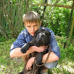 Dmitry, �����-���������, 37 ���