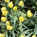 ���� ������, ������, 63 ���� - ��������� 5 ������� 2011 � ������ ������-���� �����....�