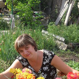 ���� ˸���, ����, 51 ��� - ��������� 31 ���� 2013