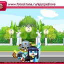  , , 45  -  20  2010   PetLove