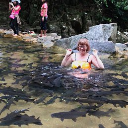 �� ���������� ������� - �������