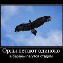  Oleg, , 46  -  5  2011   