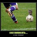 ���� �����, ���� - ��������� 18 ���� 2012 � ������ ���� ����������