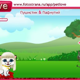 ���� �������, �������-���������, 39 ��� - ��������� 6 ������ 2010