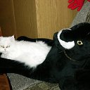 ���� Katkas, �������, 45 ��� - ��������� 30 ������� 2009 � ������ ����������
