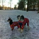 ������� �������)) �� ������� ���� �������)�