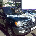 ���� ������, ������, 39 ��� - ��������� 2 ������ 2010 � ������ �������