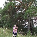 ���� �������, ������������, 69 ��� - ��������� 22 ���� 2012 � ������ ���� ����������