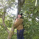 ���� �������, �����������, 53 ���� - ��������� 3 ���� 2013 � ������ ���� ����������