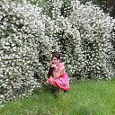 ���� �����, ��������� - ��������� 24 ��� 2013 � ������ ���� ����������