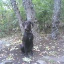  , , 51  -  1  2012   *****************