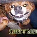       http://vk.com/app2257829#/profile/16935943/