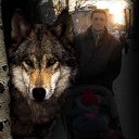 ���� ��������, �����-���������, 52 ���� - ��������� 2 ��� 2012 � ������ ���� ����������