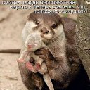 ���� ��������, ������ - ��������� 27 �������� 2010 � ������ ���������!!!�