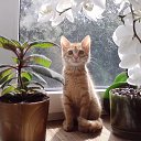 ���� ��������, ����� - ��������� 22 ������� 2012 � ������ �������