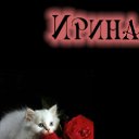 ���� �����, ����������, 61 ��� - ��������� 17 ��� 2011