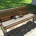 ���� ������ �����, �����-���������, 43 ���� - ��������� 13 ���� 2011 � ������ ������ͻ