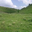 ���� ���, ����, 40 ��� - ��������� 10 �������� 2010 � ������ ���� ������ � ���� ���� ���� 2010�